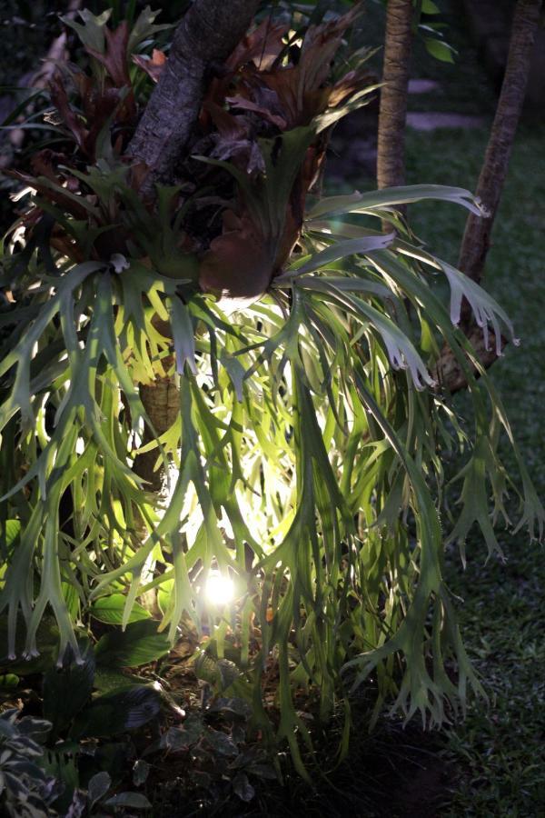 Sari House Ubud - Balinese Style Homestay Экстерьер фото
